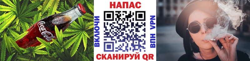 Купить  Шенкурск  Canna-Cookies конопля 