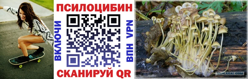 Галлюциногенные грибы Psilocybine cubensis  Купить закладки  Шенкурск 