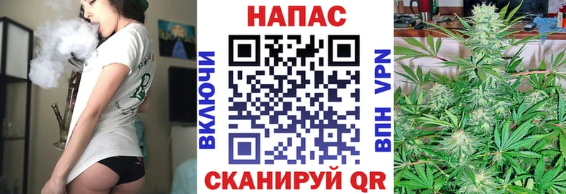 Шишки марихуана SATIVA & INDICA  Купить  Шенкурск 